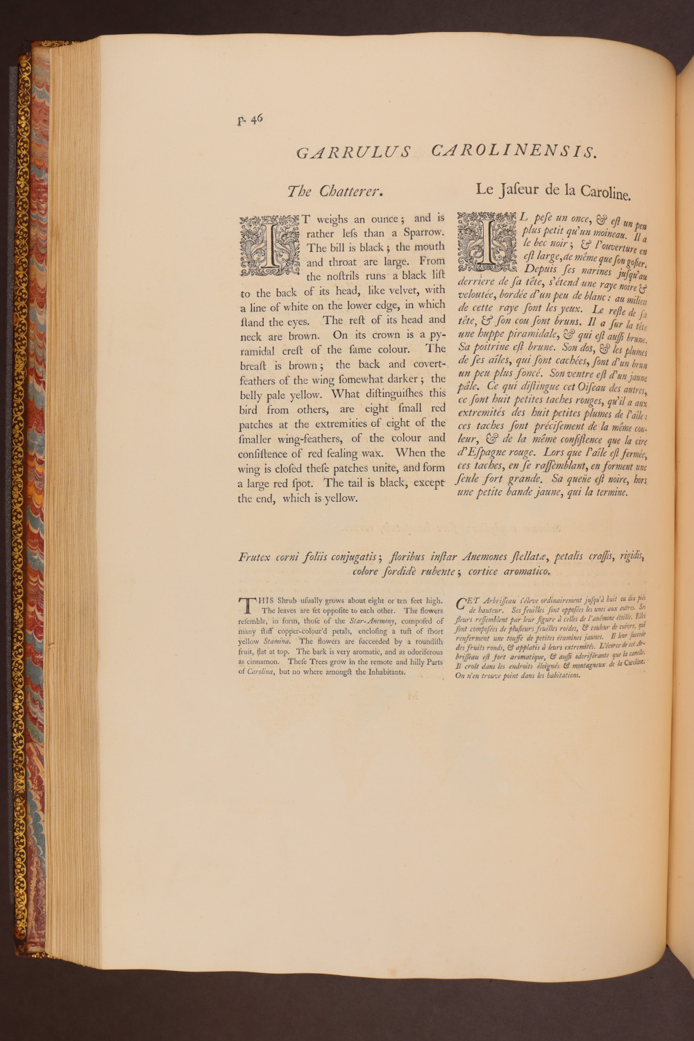 Page 46